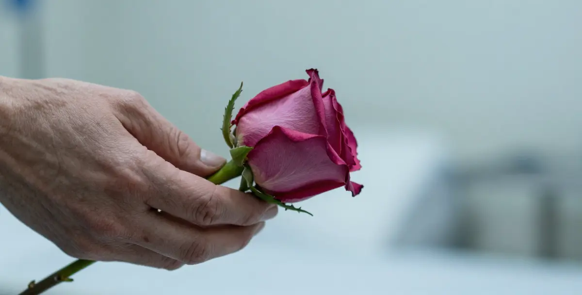 Find the best Medical Malpractice Lawyers in Arkansas