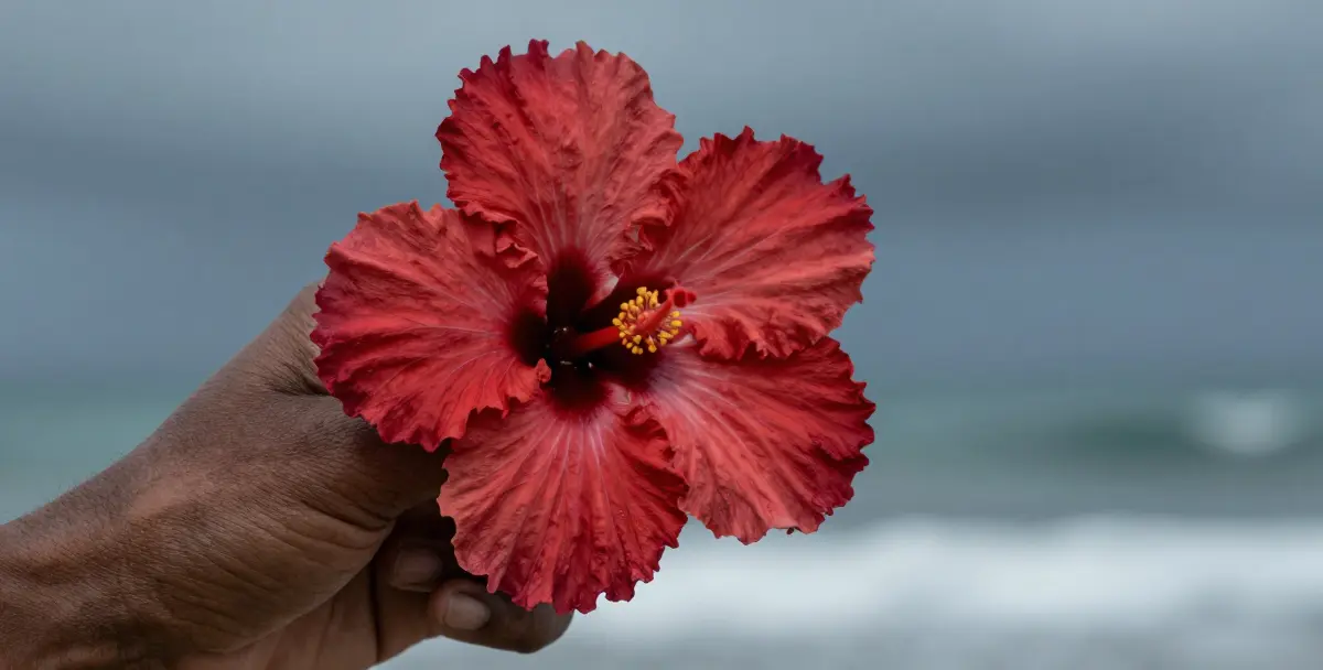 Find the best Medical Malpractice Lawyers in Virgin Islands