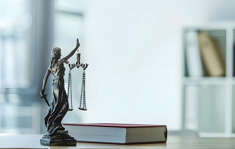 Pegalis Law Group, LLC - Medical Malpractice Lawyer in New Hyde Park, New York
